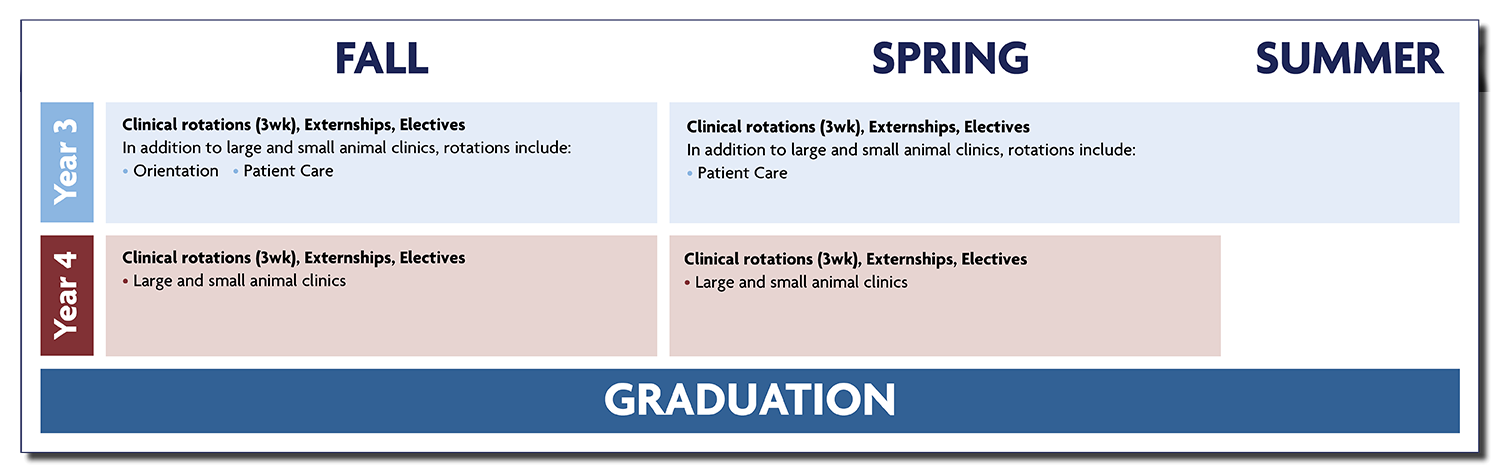 Penn Vet curriculum years 3-4