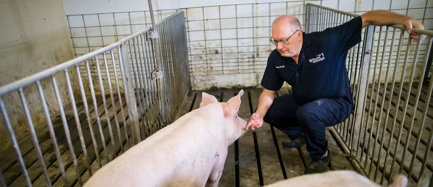 Gary Althouse (shown pre-pandemic) notes that the animal origins of the current Covid-19 crisis underscore the importance of veterinary expertise in sustaining both animal and human health.