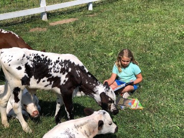 Hillside Farm - Children's Grief Camp