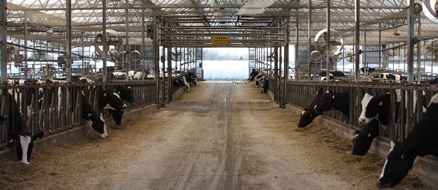 Joel and Darren Marshak Dairy