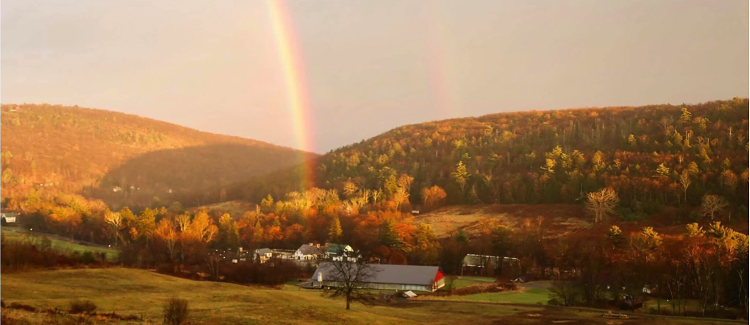 Hillside Farm - A place of healing