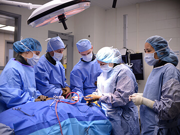 Surgery at New Bolton Center