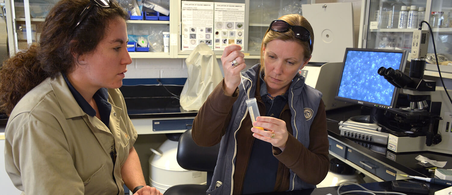 Dr. Morgan Agnew (l) during her Penn Vet Residency in Large Animal Theriogenology.