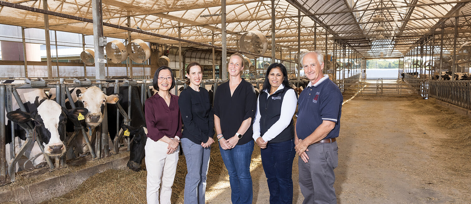 CSAFS leaders (l to r): Zhengxia Dou, PhD; Laurel Redding, VMD, PhD; Meghann Pierdon, VMD; Dipti Pitta, PhD; and Tom Parsons, VMD, PhD.