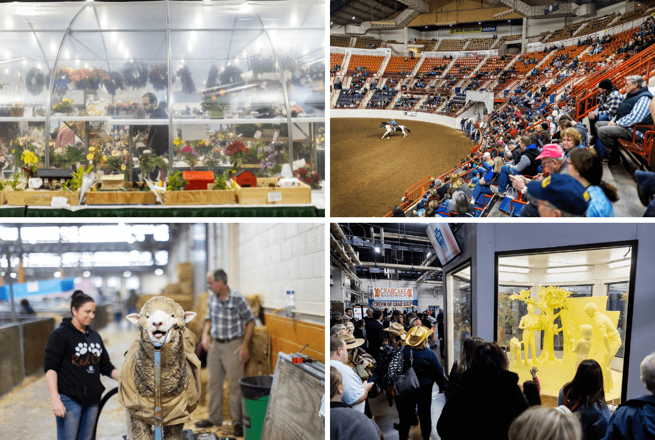 From left to right: A greenhouse, rodeo, alpaka, and butter sculpture