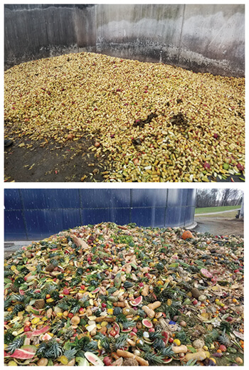 IUUB feedstuffs: Apple cores (top) from a processing facility and unsellable fruits, vegetables, and bread bread (bottom) from supermarkets are fed to cows on two Pennsylvania dairy farms (Photo credits: Dr. Joe Bender)