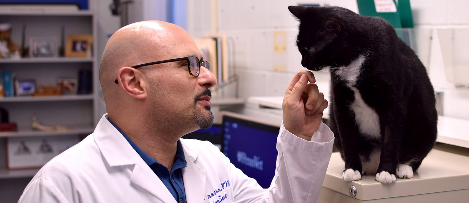 Carlo Siracusa, associate professor of clinical behavior medicine at the School of Veterinary Medicine