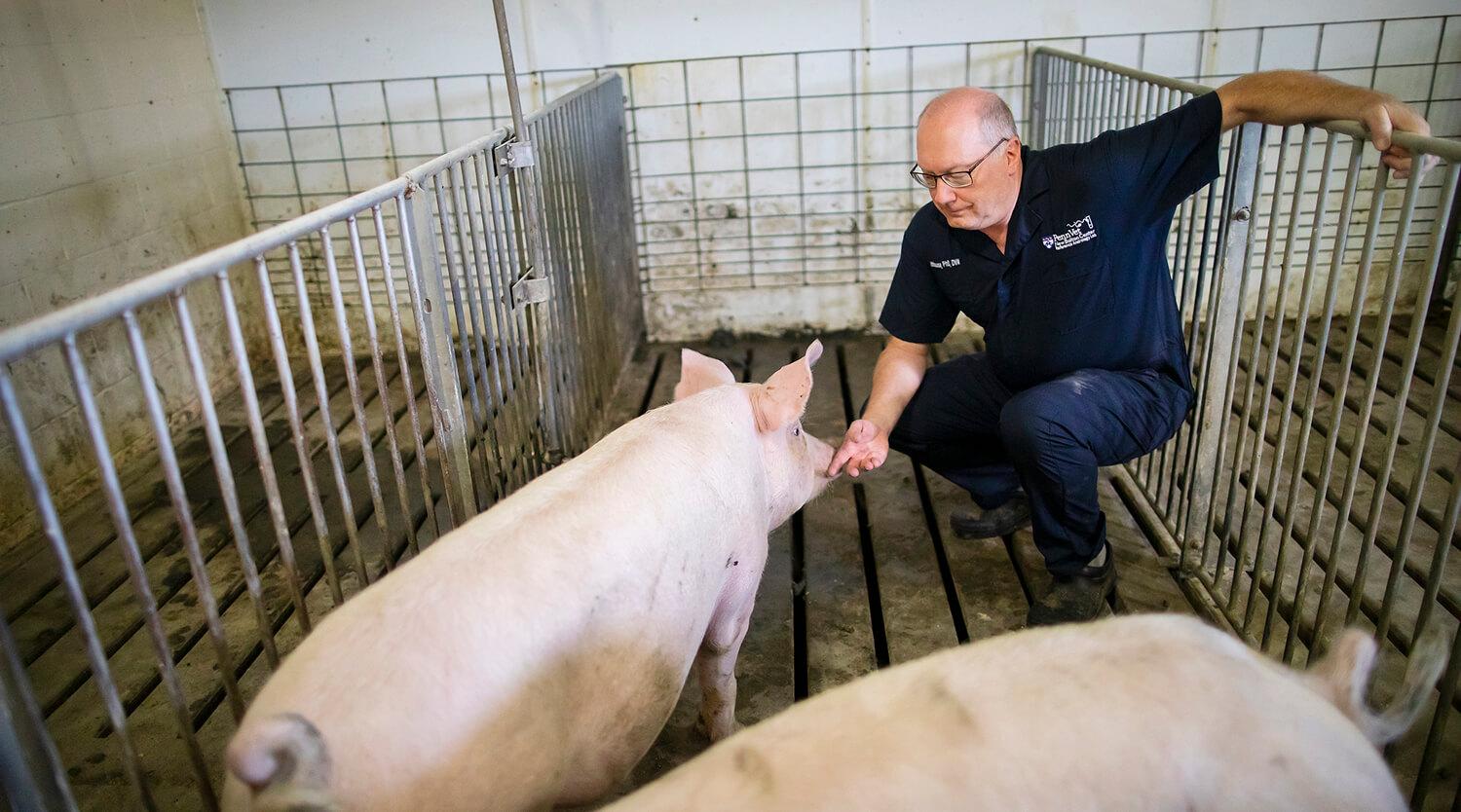 Gary Althouse (shown pre-pandemic) notes that the animal origins of the current Covid-19 crisis underscore the importance of veterinary expertise in sustaining both animal and human health. (Image: Eric Sucar)