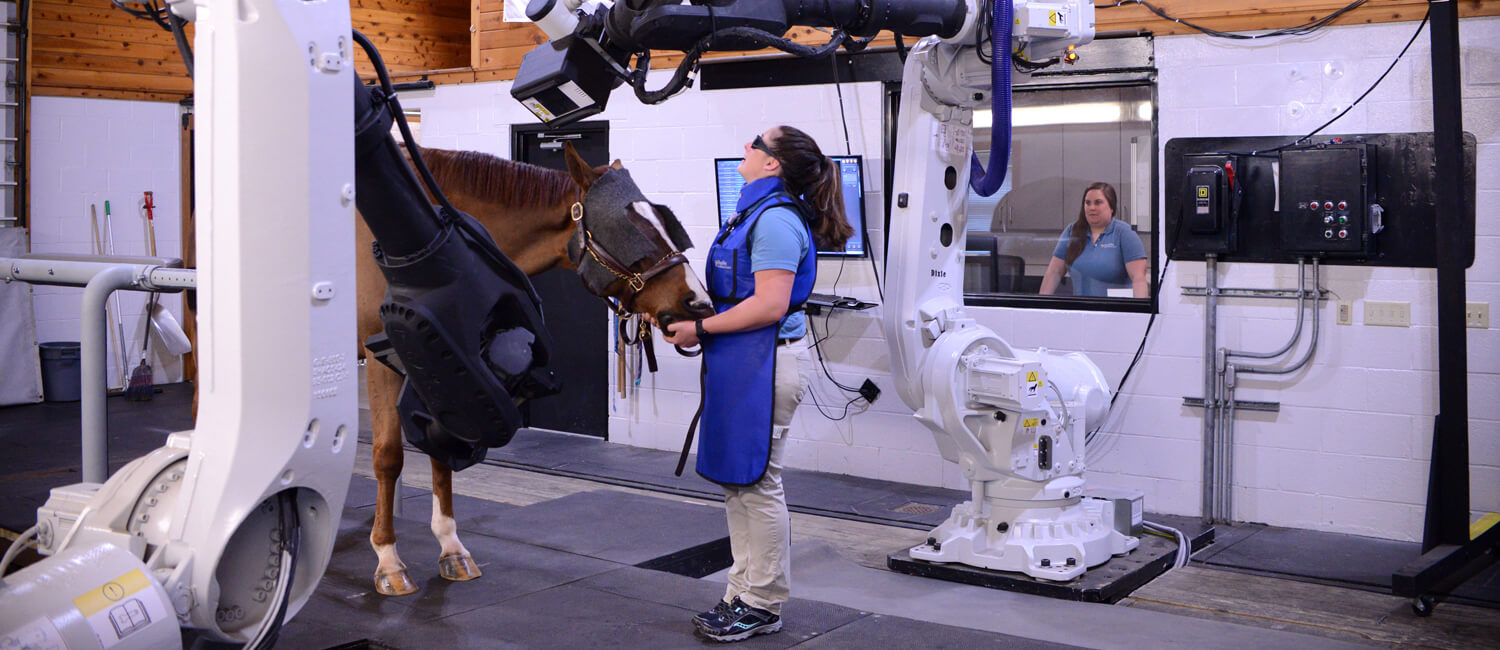 Dr. Kathryn Wulster (in booth) oversees patient imaging at the EQUIMAGINE robotics-controlled system.