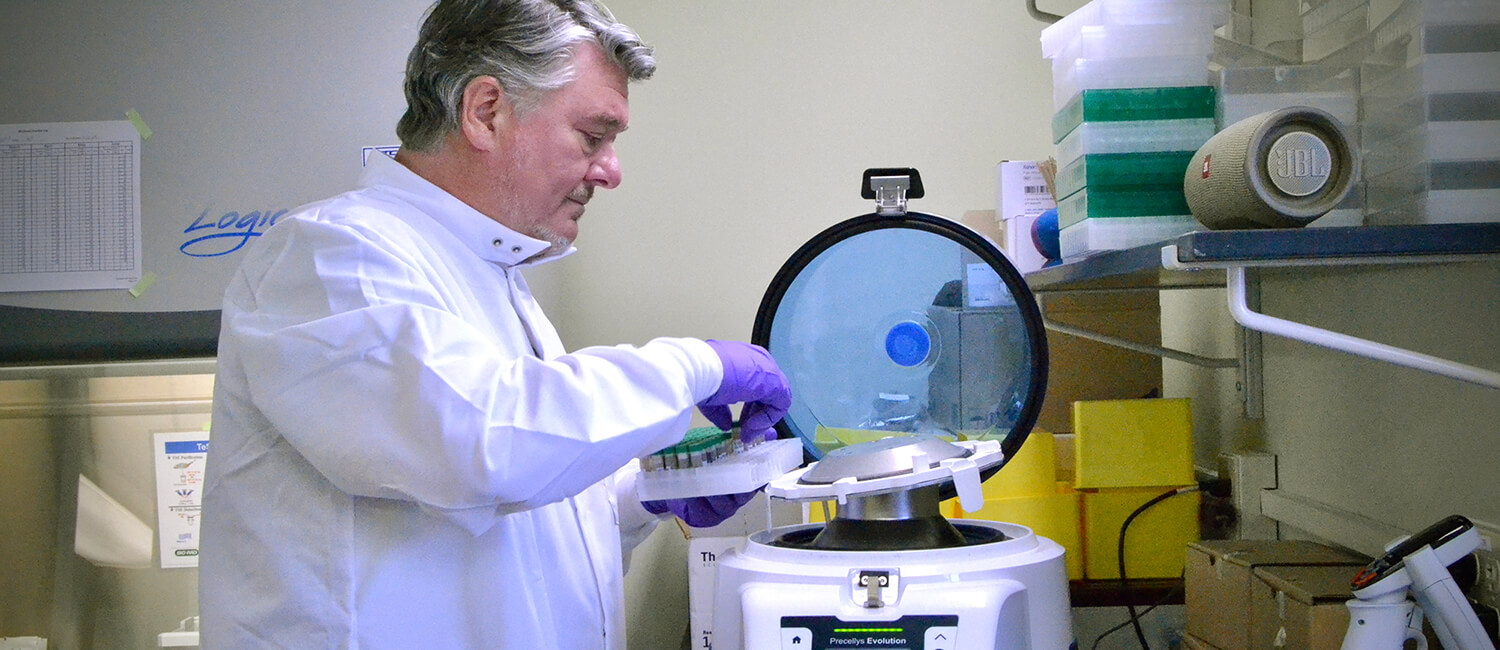 John Armstrong, a chronic wasting disease research specialist at Penn Vet, processes samples in the newly established laboratory to test deer samples for the deadly infection at the School’s New Bolton Center campus. Getting this lab accredited and operational was one of the first actions of the new Pennsylvania Wildlife Futures Program, a partnership with the Pennsylvania Game Commission.