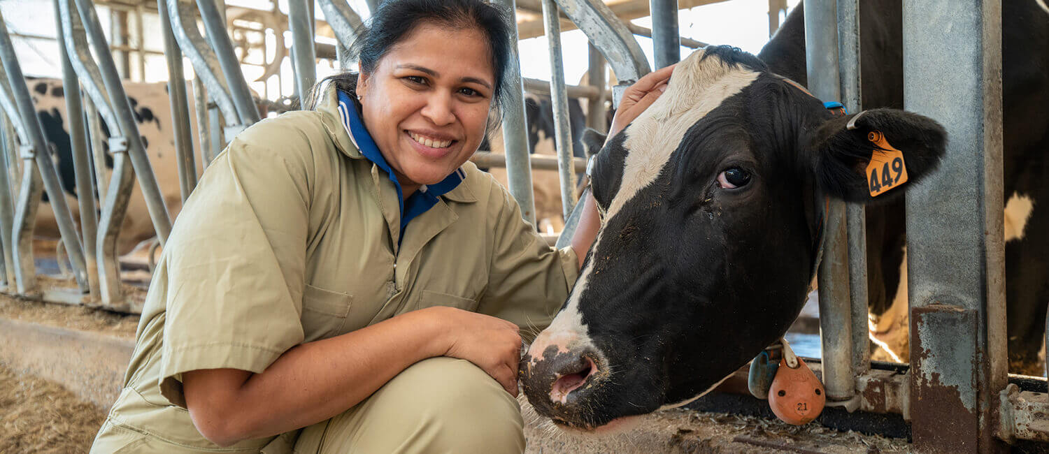 Dipti Pitta petting a cow&#39;s head.