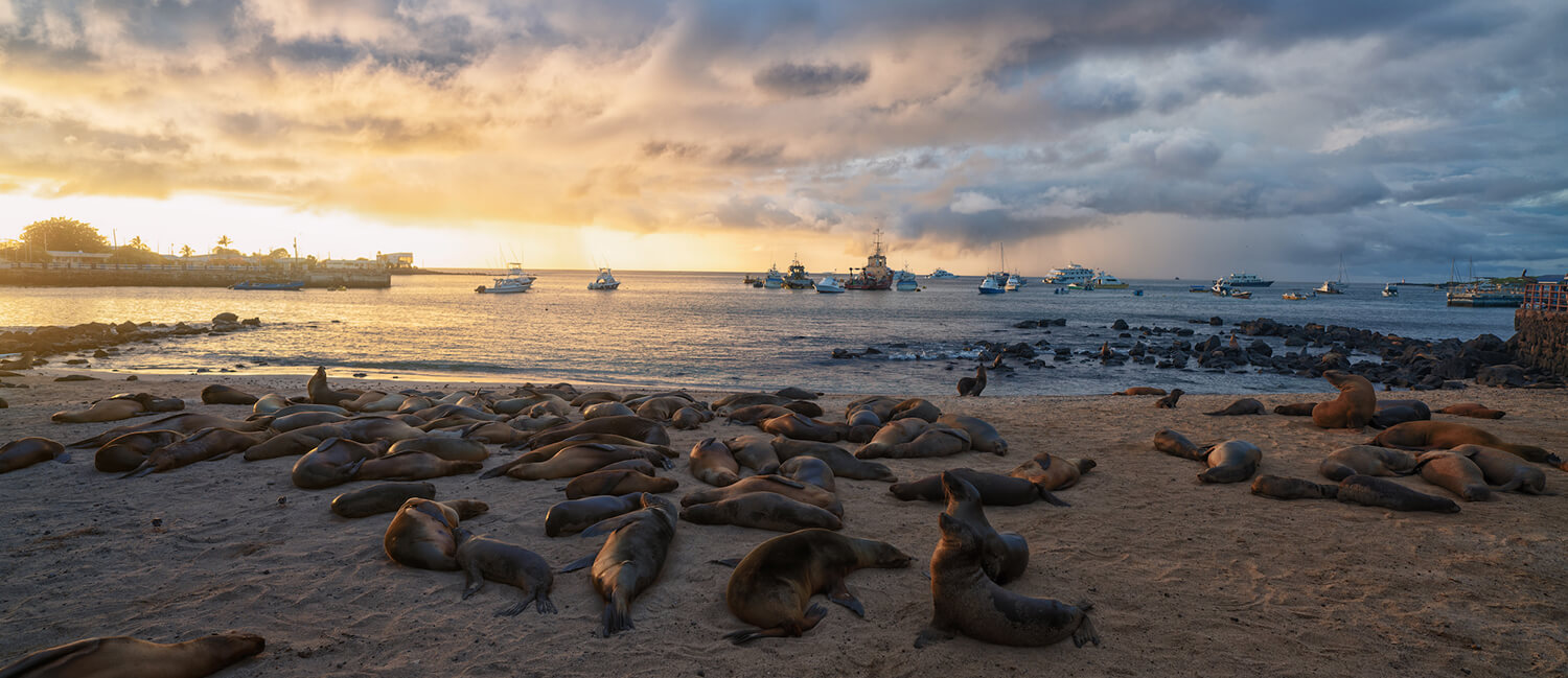 galapagos-beach-header