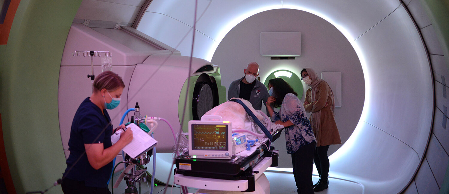 Picture of Maple and clinicians in the Roberts Proton Therapy Center