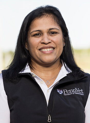 Dr. Dipti Pitta, Penn Vet